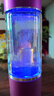 榮田（RONGTIAN）3000ppb富氫水杯水素杯日本spe氫氧分離富氧杯電解富氫水素機(jī) 紫色（禮盒裝）300ml 曬單實(shí)拍圖