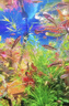 吉印刀鋒Xpro魚缸燈增艷led燈防水三基色紅龍燈鸚鵡魚錦鯉發(fā)色燈 73cm 曬單實拍圖