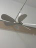HYUNDAI小吊扇學(xué)生宿舍小型電風(fēng)扇大風(fēng)力蚊帳小風(fēng)扇輕音微風(fēng)吊電扇 【1.8米線長(zhǎng)】白色六葉靜音小吊扇 宿舍|臥室|蚊帳靜音大風(fēng)力風(fēng)量 曬單實(shí)拍圖