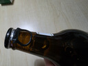 寳島阿里山 白啤酒 聚會(huì )送禮 麥芽濃度麥香高 臺灣風(fēng)味精釀啤酒5度 248mL 24瓶 整箱裝 小白啤 曬單實(shí)拍圖