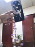 愛(ài)絢（aixuan）適用曲面鳳凰華為mate60pro手機(jī)殼華mata50系列mete40保護(hù)套新款十后殼外殼50e高端e網(wǎng)紅鏡頭全包 [鳳鳴呈祥-紫色]鎏金雙曲面殼 華為Mate60Pro 曬單實(shí)拍圖