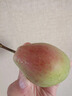 正宗山西七月紅梨子5斤紅美酥青啤梨新鮮水果現摘香酥梨彩虹梨L3 3斤【脆甜多汁】普通快遞 曬單實拍圖