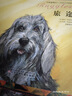 凱特·格林威提名獎得主作品：守候溫情 雙語(yǔ)繪本典藏集(套裝全10冊) 掃碼聽(tīng)英文音頻 3-6歲 童立方出品 曬單實(shí)拍圖