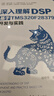 深入理解DSP：基于TMS320F28379D的開發(fā)與實踐 曬單實拍圖