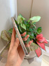 圣圖朗創(chuàng)意點(diǎn)鉆油畫笑臉適用iPhone16promax蘋果15新款手機(jī)殼13全包個性12閃粉鏡頭女11支架14防摔保護(hù)套 白底愛心笑臉【開心發(fā)財(cái)】閃粉鏡頭支架  iPhone 16 pro max 曬單實(shí)拍圖