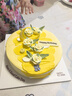 派悅坊星河追光生日蛋糕芒果百香果慕斯奶油甜品同城當(dāng)天配送北京上海 曬單實拍圖