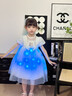DUTRIEUX愛莎公主裙女童艾莎禮服2025冰雪奇緣兒童網(wǎng)紗連衣裙亮燈六一禮物 【藍裙】+燈帶+冠棒 120 【身高110cm拍】 曬單實拍圖