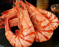 果勛即食蝦干大號烤蝦干凈重1斤70-80低溫烘烤海產(chǎn)干貨海鮮零食干蝦仁 曬單實(shí)拍圖