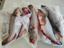 品鮮肴淡水魚淡水小河鱸魚無小刺鮮活魚現(xiàn)殺冷凍魚類水產(chǎn)去鰓去鱗去內(nèi)臟 三去凈重250-300g/條 共6條裝 曬單實拍圖
