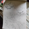 2冊《工筆畫白描描摹本》上下基礎(chǔ)訓(xùn)練篇強化提高篇花卉植物禽鳥動物繪畫臨摹本入門零基礎(chǔ)書教材超級線條淺印 曬單實拍圖