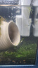FKSC過(guò)濾器魚(yú)缸壁掛式瀑布桌面小型魚(yú)缸過(guò)濾器三合一循環(huán)水泵增氧靜音 C1法老過(guò)濾器【適合缸15-30cm】 曬單實(shí)拍圖