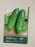 北蔬 黃瓜種子苗強(qiáng)雌旱黃瓜摘不敗四季蔬菜種籽 海吉亞秋黃瓜種子40粒 曬單實(shí)拍圖