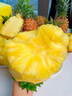海南金鉆鳳梨新鮮水果應(yīng)季芒果鳳梨手撕香水菠蘿特產(chǎn)大果無(wú)眼 5斤 曬單實(shí)拍圖