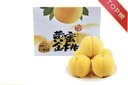 京地達山東蒙陰黃桃 凈重4.5斤禮盒單果約150g新鮮水果桃子源頭直發(fā)包郵 曬單實(shí)拍圖