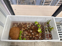 德沃多肥料紅火山巖2.5kg(1-2cm)多肉顆粒土鋪面石拌土改善土壤園藝無土栽培 曬單實拍圖