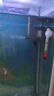 森森 魚(yú)缸過(guò)濾器三合一水泵JS-600（含水泵+過(guò)濾盒） 曬單實(shí)拍圖