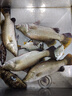 沃鼎王朝系列唐釣魚竿輕量綜合竿碳纖維超輕鯽魚竿魚桿臺釣竿3.6m 4H 曬單實拍圖