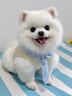 華元寵具（hoopet）狗狗衣服夏天薄款小型犬夏季貓咪西高地比熊雪納瑞寵物防掉毛衣服 白條紋領(lǐng)結米色背心 M-胸圍42CM（建議7-10斤） 曬單實(shí)拍圖