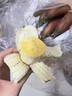 傾睦漳州紅皮香蕉福建特產(chǎn)紅美人香蕉天寶寶輔食芭蕉孕婦新鮮水果軟糯 3斤精品 曬單實(shí)拍圖