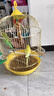 布卡星鸚鵡蔬菜磨牙棒虎皮玄鳳鸚鵡啃咬互動鳥糧2根 曬單實(shí)拍圖