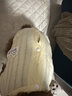 MIKI PAD狗狗衣服春夏季薄款包護肚衣絕育服術(shù)后防舔貓咪衣服透氣防掉毛 背心護肚衣-黃色#可做絕育服 XXS 胸圍26背長16（建議1-2斤） 曬單實拍圖
