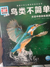 德國少年兒童百科知識全書(shū)第4輯 鳥(niǎo)類(lèi)不簡(jiǎn)單 德百精裝珍藏版什么是什么wasistwas百科全書(shū) 7-10歲一年級二年級小學(xué)生兒童科普科學(xué)知識大百科暑假課外閱讀書(shū)籍 曬單實(shí)拍圖