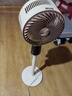 創(chuàng)維【全屋驅(qū)蚊】空氣循環(huán)扇家用電風(fēng)扇落地扇2025新款大風(fēng)量語音遙控輕音節(jié)能臥室小風(fēng)扇Q522 白咖色 曬單實拍圖