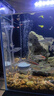 徹朗氧氣泵魚缸超靜音氧氣泵魚缸小型家用增氧泵大氣量 中號 雙孔【6.5cm雙納米氣盤套餐】 曬單實拍圖