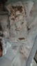 精氣神 國產無抗山黑豬五花肉400g 冷凍帶皮五花肉豬五花烤肉 黑豬肉 曬單實拍圖