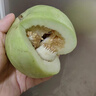 兄盟鮮果正宗南匯特產(chǎn)玉菇甜瓜當季時(shí)令新鮮水果白皮青瓤玉菇白瓜 帶箱10-11斤禮盒款（4-5個(gè)） 曬單實(shí)拍圖