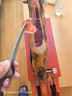 伊貝斯（1BERUS） 西班牙火腿橡果伊比利亞火腿生吃火腿歐洲禮盒中秋送禮高端禮品 【紅標(biāo)】純橡果前腿5-6kg 曬單實(shí)拍圖