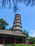 6盒裝【原研進(jìn)口】諾欣妥 沙庫巴曲纈沙坦鈉片 0.2g*28片/盒 曬單實(shí)拍圖