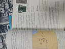 【新華書(shū)店正版】適用2025 初中7七年級上冊歷史書(shū)人教版課本正版教材教科書(shū)人民教育出版社初一1七上歷史書(shū)上冊課本七年級教材 七年級上冊歷史 曬單實(shí)拍圖
