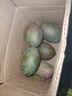 壹萌果蔬四川攀枝花凱特芒果新鮮水果當(dāng)季特大香甜青芒果當(dāng)季整箱包郵  凈4.5斤-5斤精選果【單果300g+】 曬單實拍圖