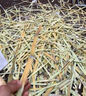 CPAI新款正品久保利甘蔗刀甘蔗削皮刀專(zhuān)業(yè)大號削甘蔗專(zhuān)用刀刨皮刀商用 甘蔗刀-削皮不卡頓 曬單實(shí)拍圖