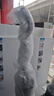 膜小二加厚氣泡膜搬家泡沫紙寬50cm*42米包裝膜防震打包膜泡泡紙氣泡墊快遞運(yùn)輸 曬單實(shí)拍圖