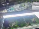 佳寶（JEBO）魚缸燈管 T5/T8觀賞魚水草照明水族箱魚缸白色藍(lán)色紅色燈管替換燈 T8 30W白光長90cm燈管一支 曬單實(shí)拍圖