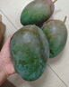 京鮮生 攀枝花凱特芒果 凈重8.5斤 單果400g+ 生鮮水果 源頭直發(fā) 曬單實(shí)拍圖