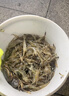 龍王恨河蝦餌料強力爆籠四季誘蝦藥專(zhuān)用強力抓蝦誘食劑黃鱔泥鰍萬(wàn)能餌料 特效：1盒【10支】 曬單實(shí)拍圖