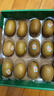 佳沛（zespri）新西蘭 陽光金果12粒單果約122-146g 獼猴桃 中秋水果禮盒 曬單實拍圖