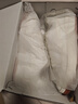 李寧反伍新秀丨減震回彈板鞋男女鞋2025輕量籃球文化鞋 乳白色-1 46 曬單實(shí)拍圖