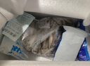 奈寵魚食冷凍麥穗魚河蝦泥鰍段大蝦仁新鮮速凍觀賞魚龍魚烏龜通用飼料 【冷凍蝦段】小號/1kg（2斤) 曬單實拍圖
