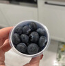 LOUISE小懶杯藍莓大果藍美莓枝1冠超能杯裝小藍杯新鮮當季水果禮盒順豐 8杯裝【15-18mm中大果】每杯60g 順豐【花香/甜脆無(wú)酸】共480g 曬單實(shí)拍圖