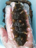 繽鮮 即食海參 大連海參深海鮮活遼刺參新鮮開(kāi)袋即食7年海參干貨禮盒 大連即食海參【4-9只/斤】 1斤裝 曬單實(shí)拍圖