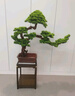悠陽(yáng) 花架置物架花盆架花架子客廳落地式吊蘭架室內(nèi)仿古中式盆栽架子 巖板40*40*高59無(wú)抽屜邊幾G302 曬單實(shí)拍圖