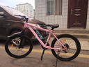 飛鴿學(xué)生山地自行車成人女孩山地車學(xué)生變速線碟剎男女士單車賽車 落霞粉丨輻條輪【整車發(fā)貨】 24寸【推薦145-165CM】 21速【新手推薦】 曬單實(shí)拍圖