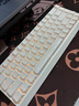 邁從（MCHOSE）Ace 68/60Pro【國(guó)家補(bǔ)貼】磁軸鍵盤 RT電競(jìng)游戲客制化機(jī)械有線連接全鍵熱插拔雙驅(qū)動(dòng)無(wú)畏契約 Ace 68 電競(jìng)版 白等高線 冰犀磁軸 曬單實(shí)拍圖