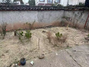 博奧菲電動(dòng)割草機充電式大功率打草機多功能鋰電池手持農用除草機便攜式 無(wú)刷續航王【加大刀片】2電一充 曬單實(shí)拍圖