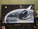 TCL電視 55V8L Pro 55英寸 144Hz高刷 QLED量子點(diǎn) 3GB+64GB大內(nèi)存 4K DeepSeek AI電視 國家補(bǔ)貼20% 曬單實(shí)拍圖