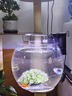 鉑吶苓魚(yú)缸烏龜缸仿玻璃一體成型桌面金魚(yú)缸亞克力透明圓形造景生態(tài)缸 仿玻璃魚(yú)缸【中號(hào)-裸缸】 曬單實(shí)拍圖